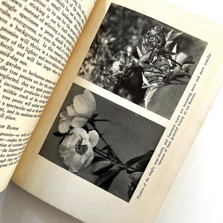 1933 - The Home Garden Handbooks Rockwell; Peonies, First Edition