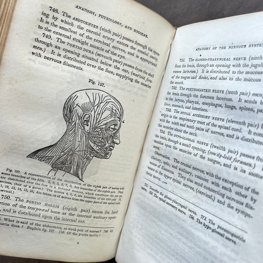 1850 - Treatise on Anatomy, Physiology, and Hygiene, First Printing
