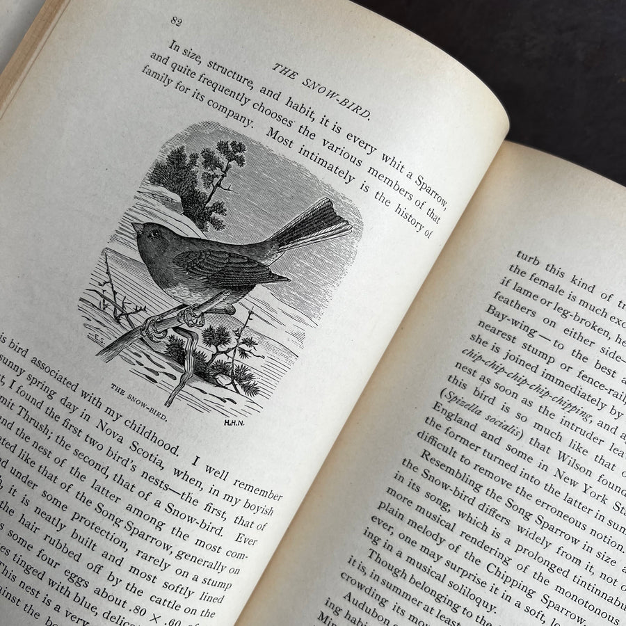 1884 - Our Birds In Their Haunts, First Edition