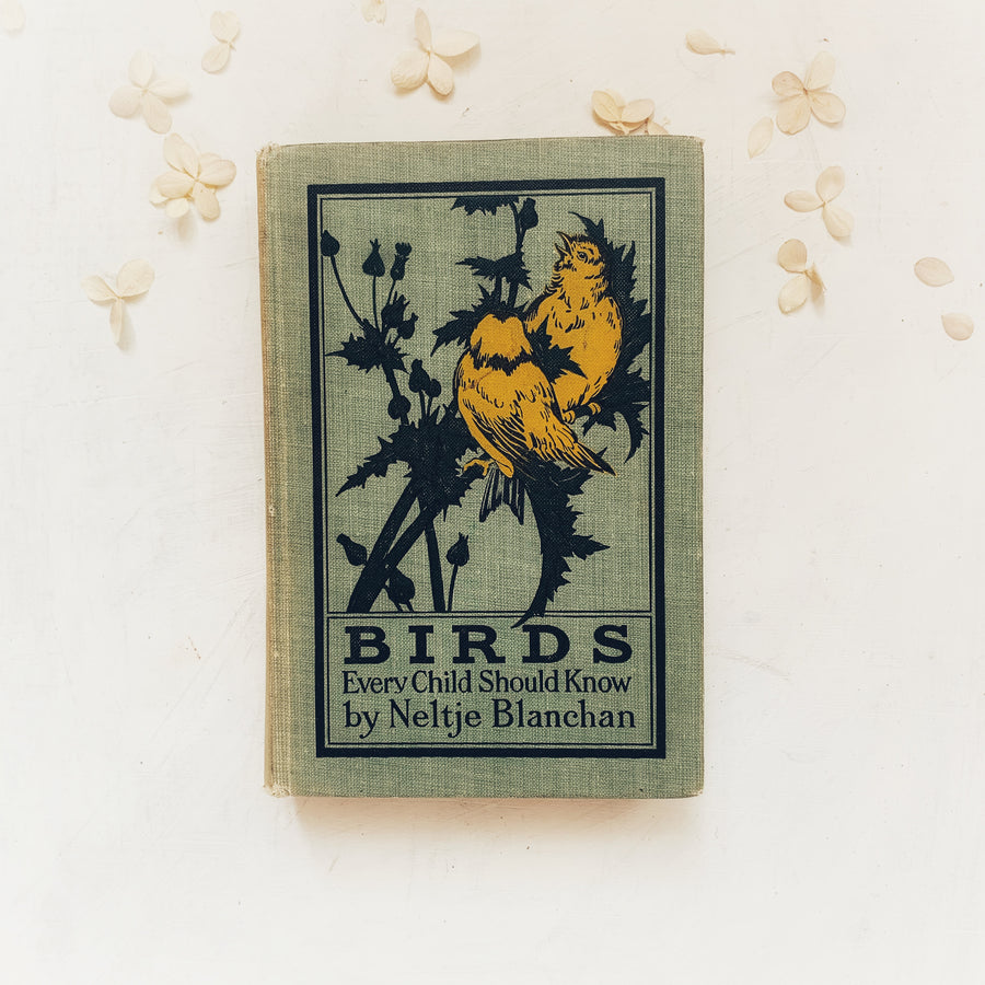 1913 - Birds Every Child Should Know