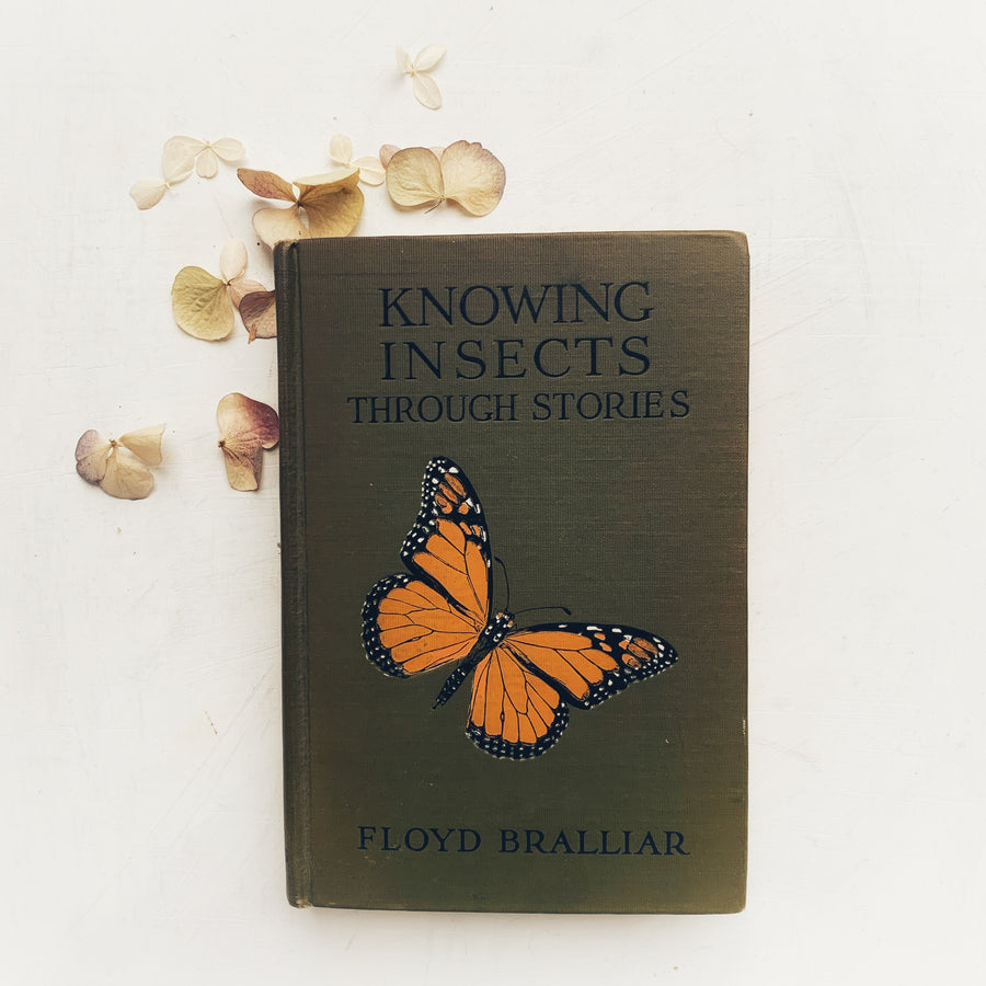 Knowing Insects 1918 - Knowing Insects Through Stories, First Edition – Honey Bee Mill