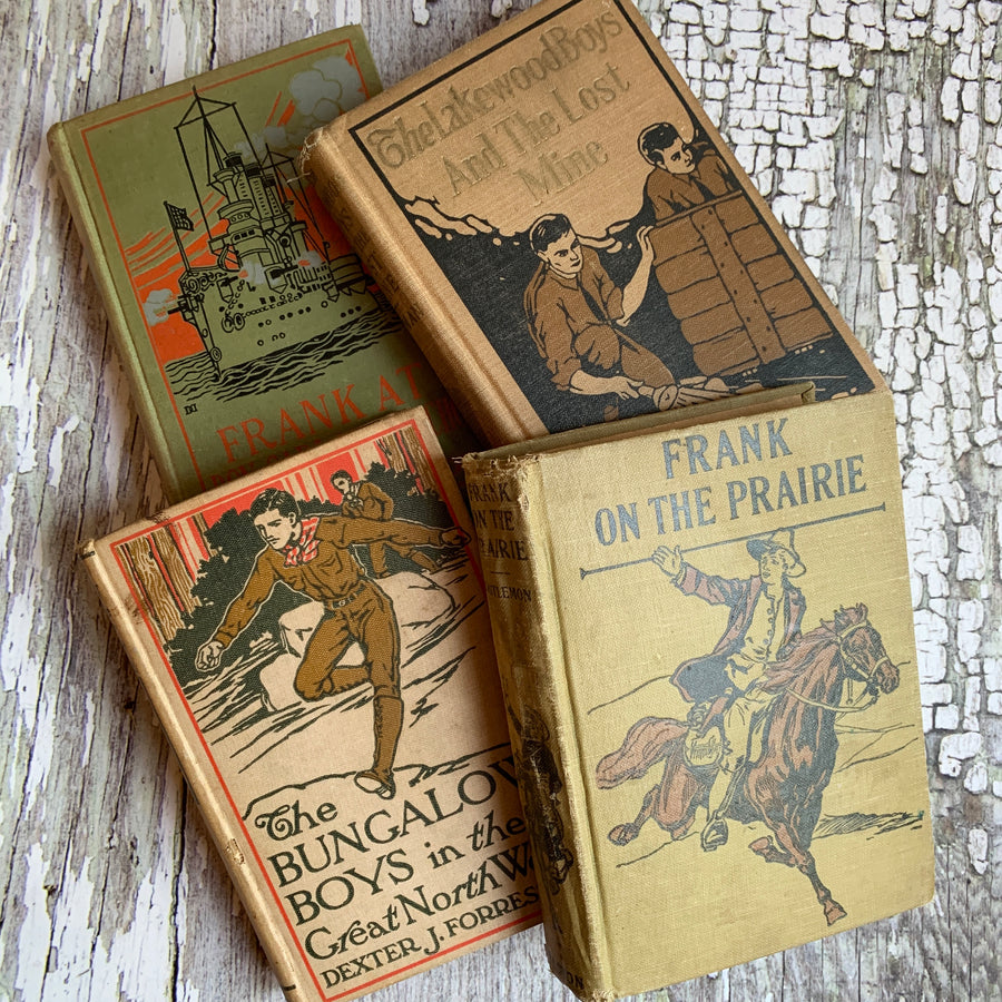 Shabby Distressed Vintage Novel Collection