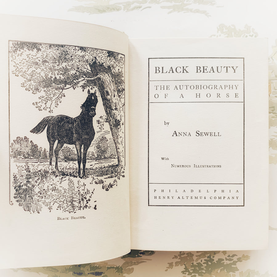 1897 - Black Beauty