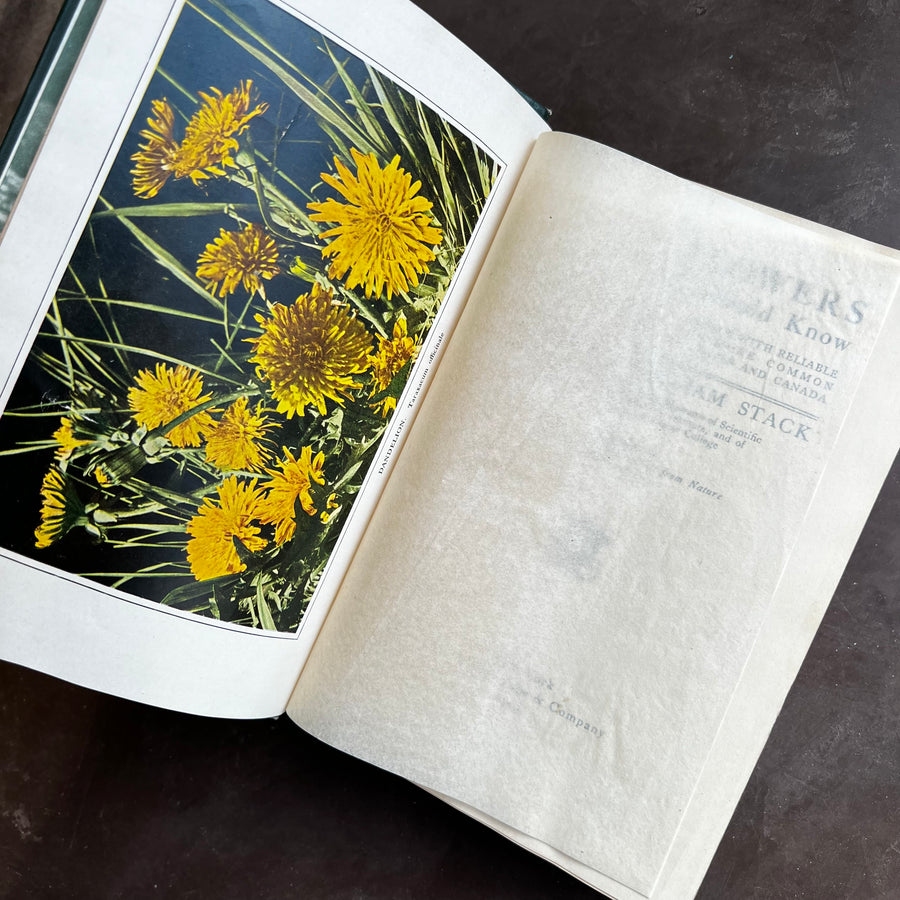 1909 - Wild Flowers Every Child Should Know, First Edition