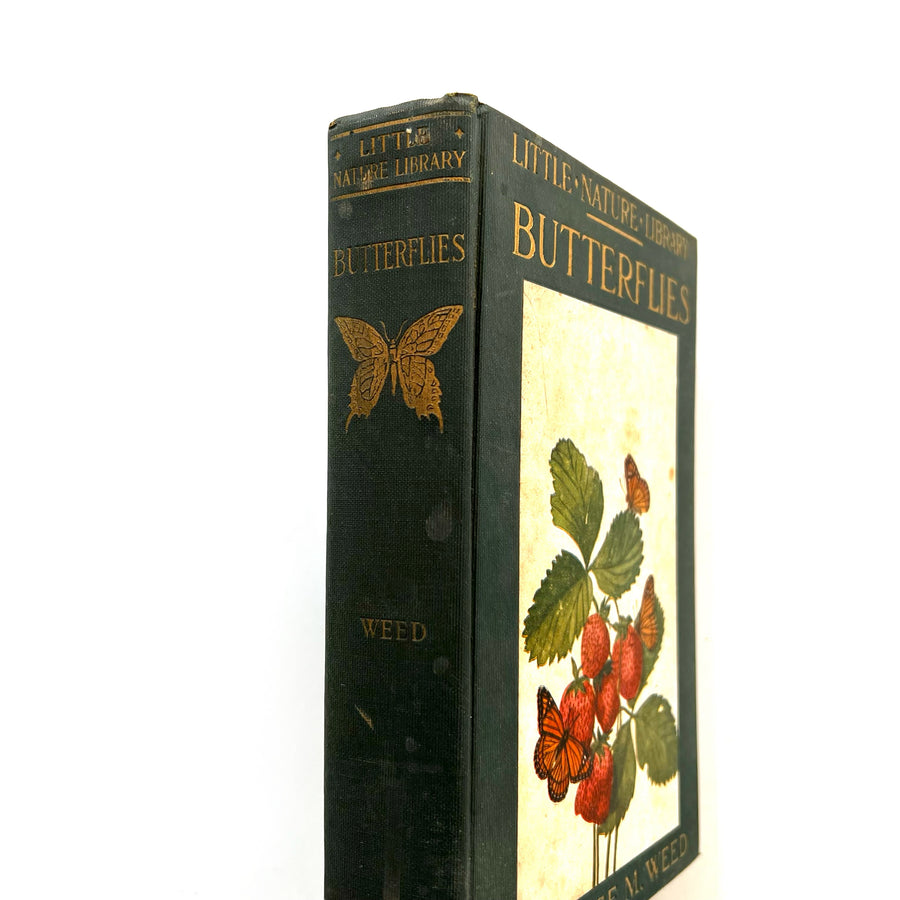 1922 - Little Nature Library; Butterflies