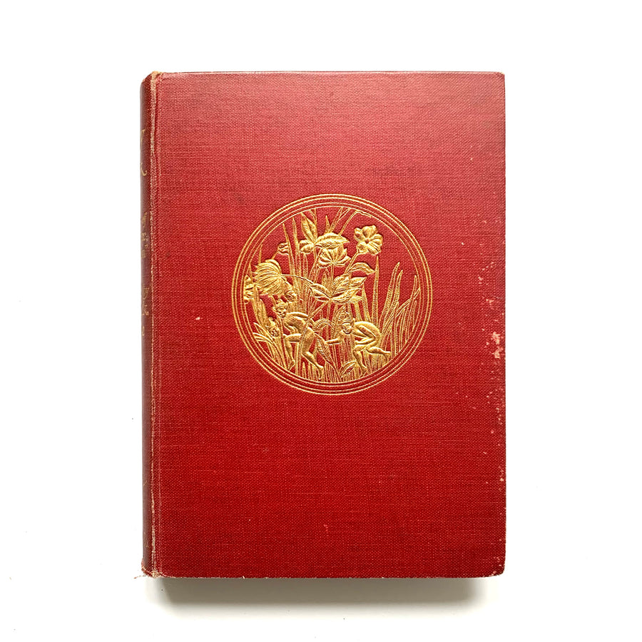 1926 - The Fairy Book
