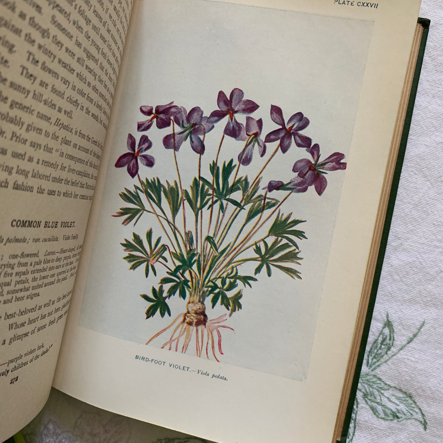 1922 - How To Know The Wild Flowers