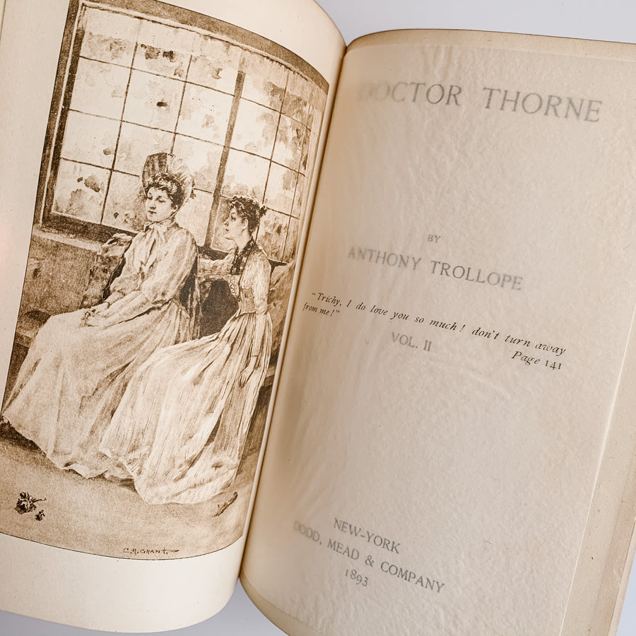1893 - Anthony Trollope’s Dr. Thorne, 2 Volumes, Rare
