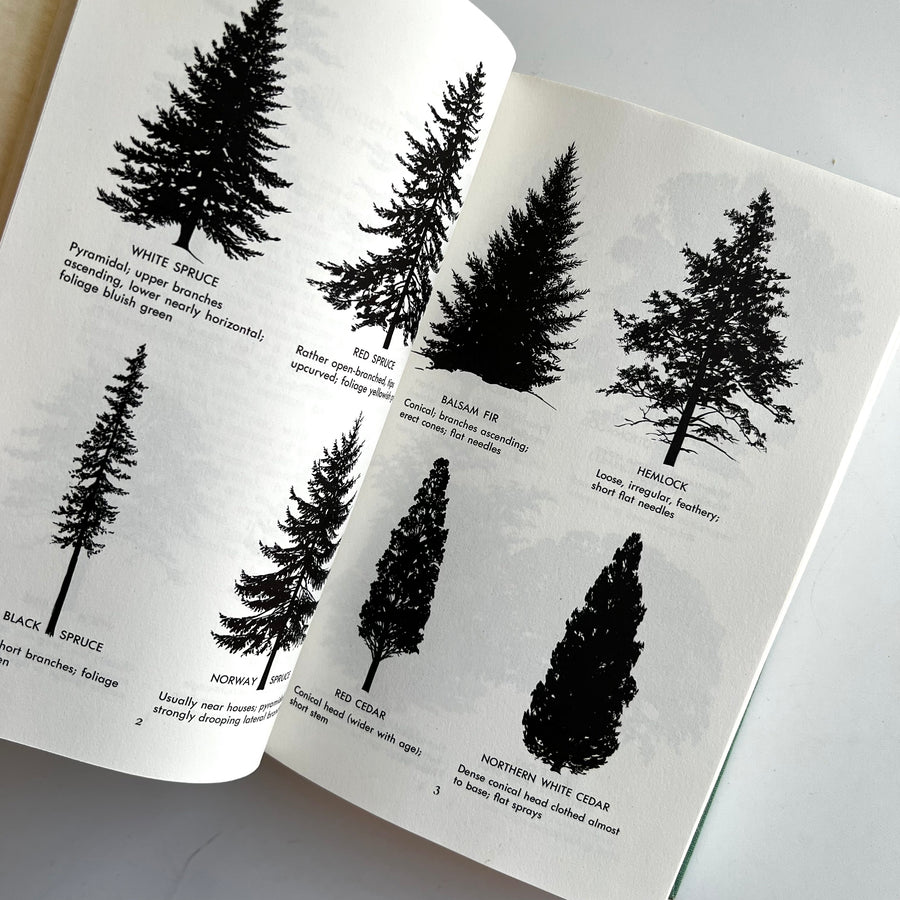 1958 - A Field Guide to Trees and Shrubs