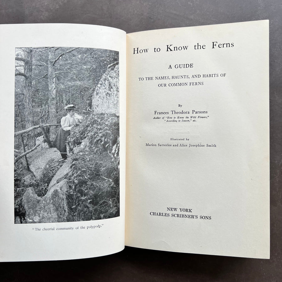 1929 - How To Know The Ferns; A Guide To The Names, Haunts, And Habits Of Our Common Ferns