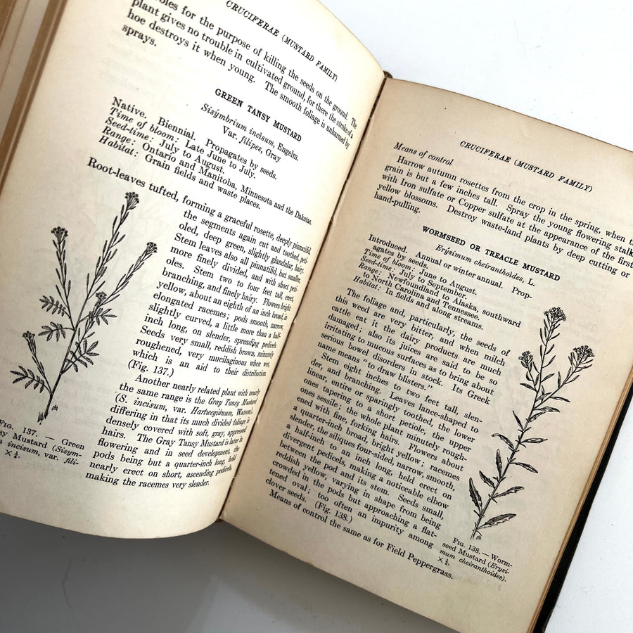 1921 - A Manual of Weeds, First Edition