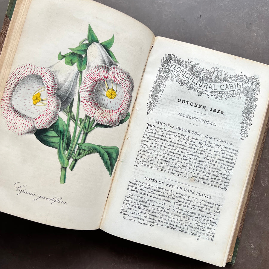 1850-1851 - The Floricultural Cabinet; Florist’s Magazine (Jan. 1850-Dec.1851)