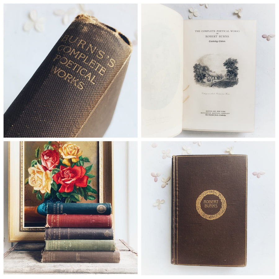 Lightly Distressed Mix of Antiquarian Poetry & Literature Books