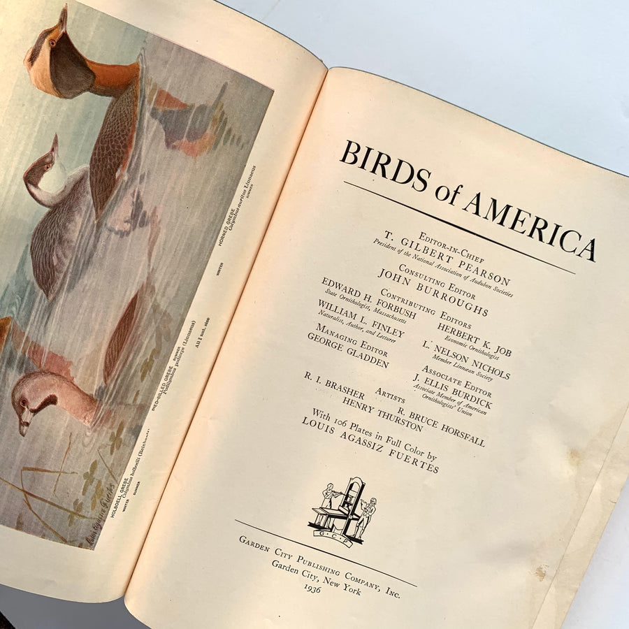 1936 - Birds of America