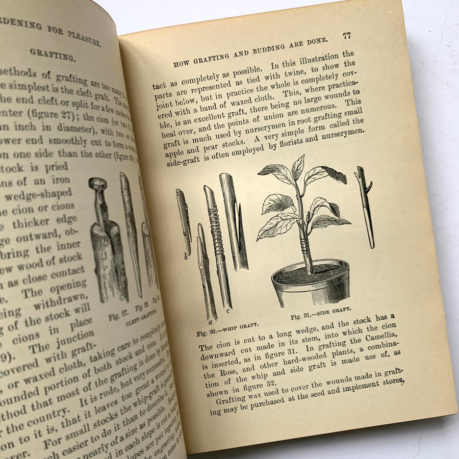 1905 - Gardening For Pleasure