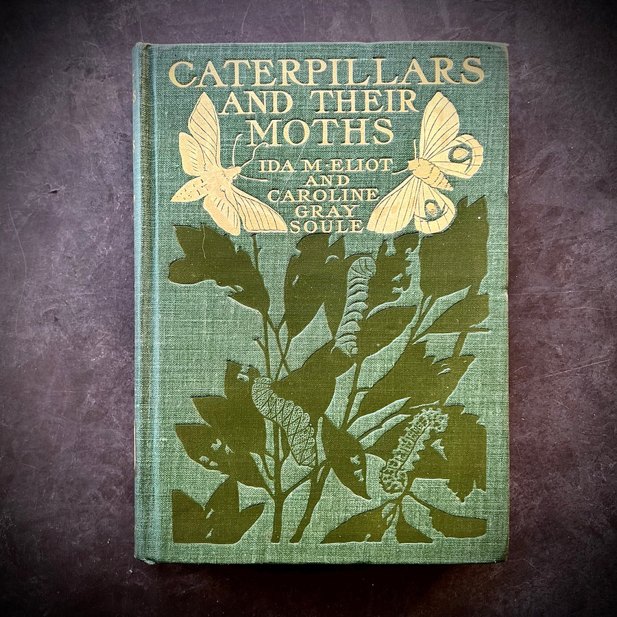 1902 - Caterpillars And Their Moths, First Edition