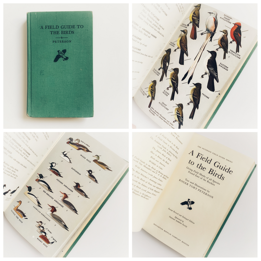 Vintage Field Guides, Sold Individually