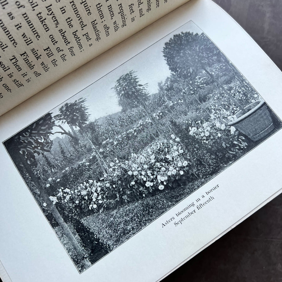 1903 - A Woman’s Hardy Garden