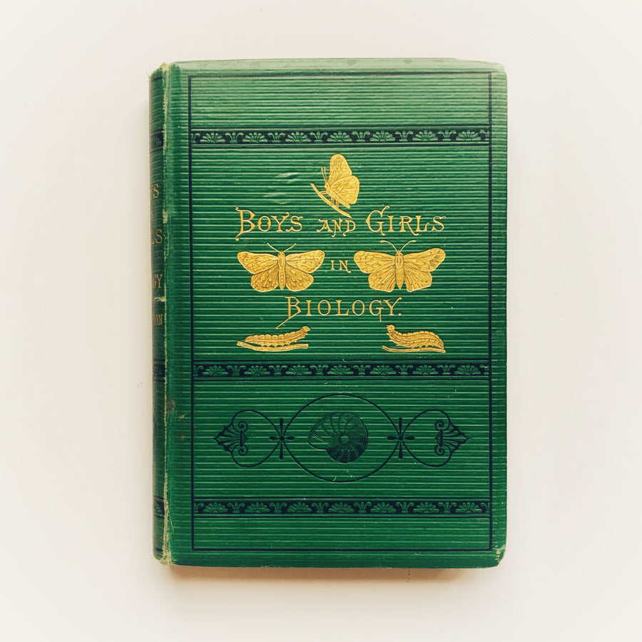 1875 - Boys and Girls in Biology OR Simple Studies of the Lower Forms of Life, First Edition