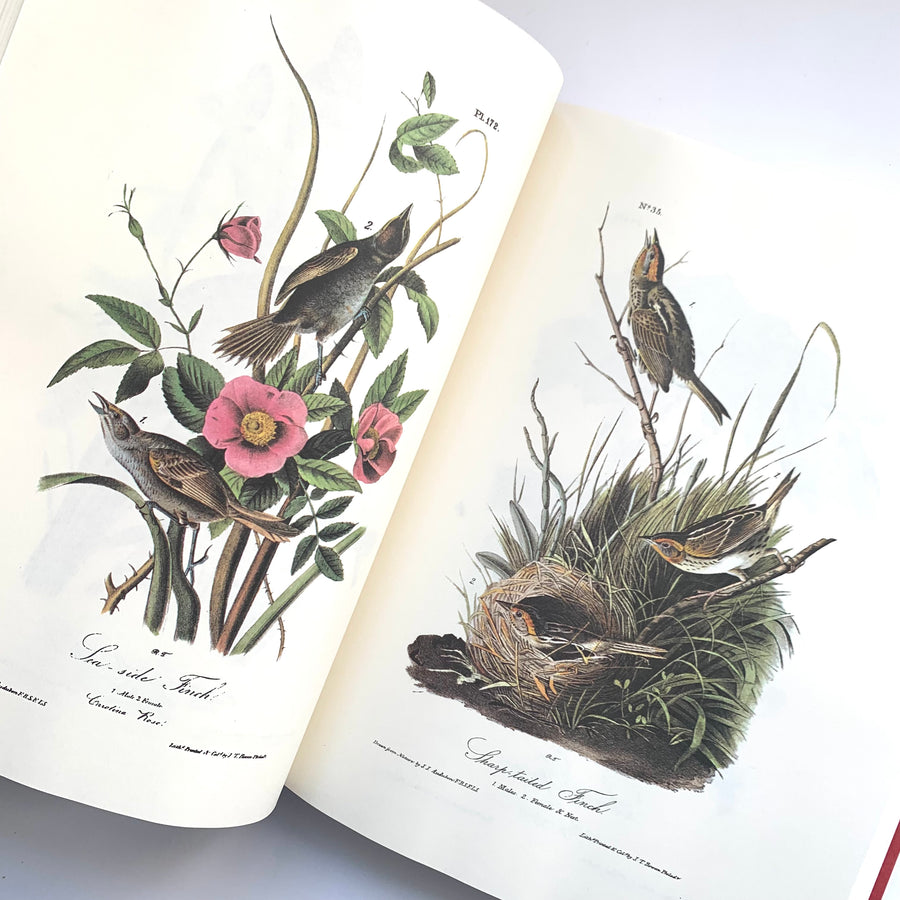 1980 - The Art of Audubon, The Complete Birds and Mammals