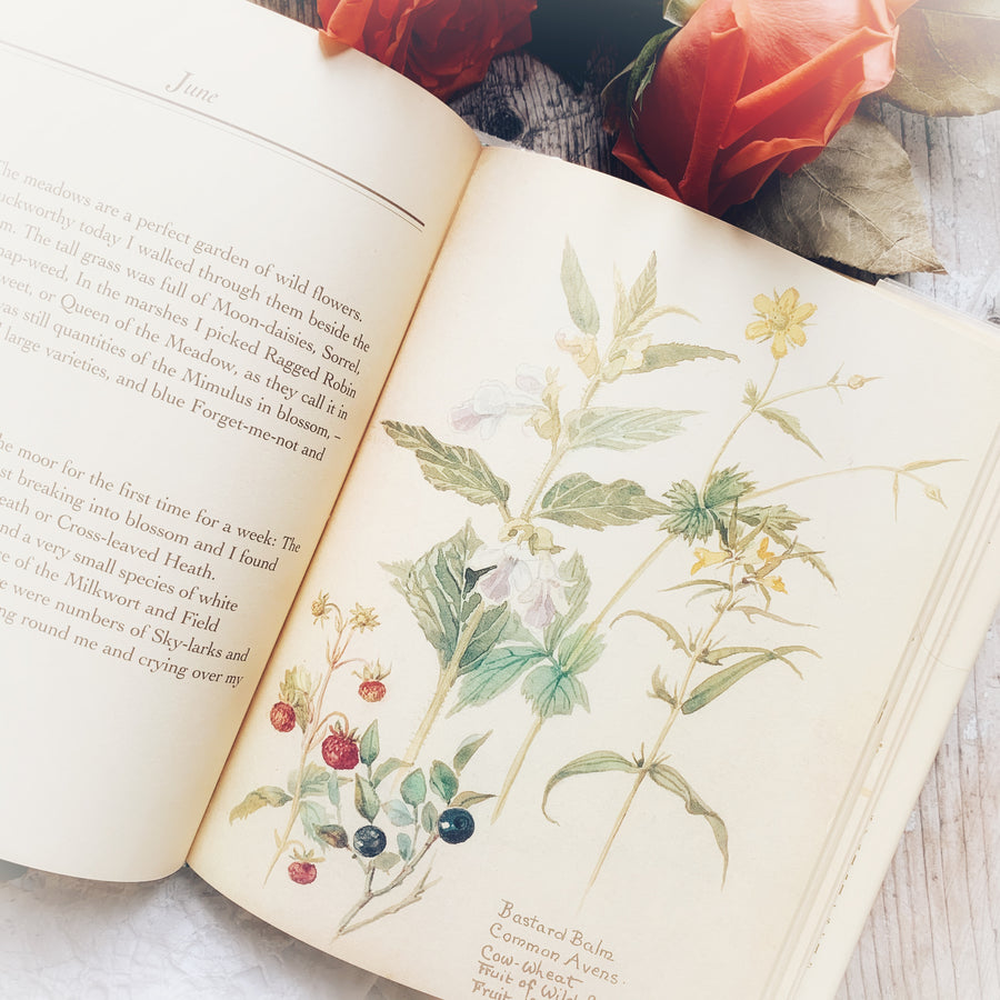 1989 - The Nature Notes of an Edwardian Lady, First Edition