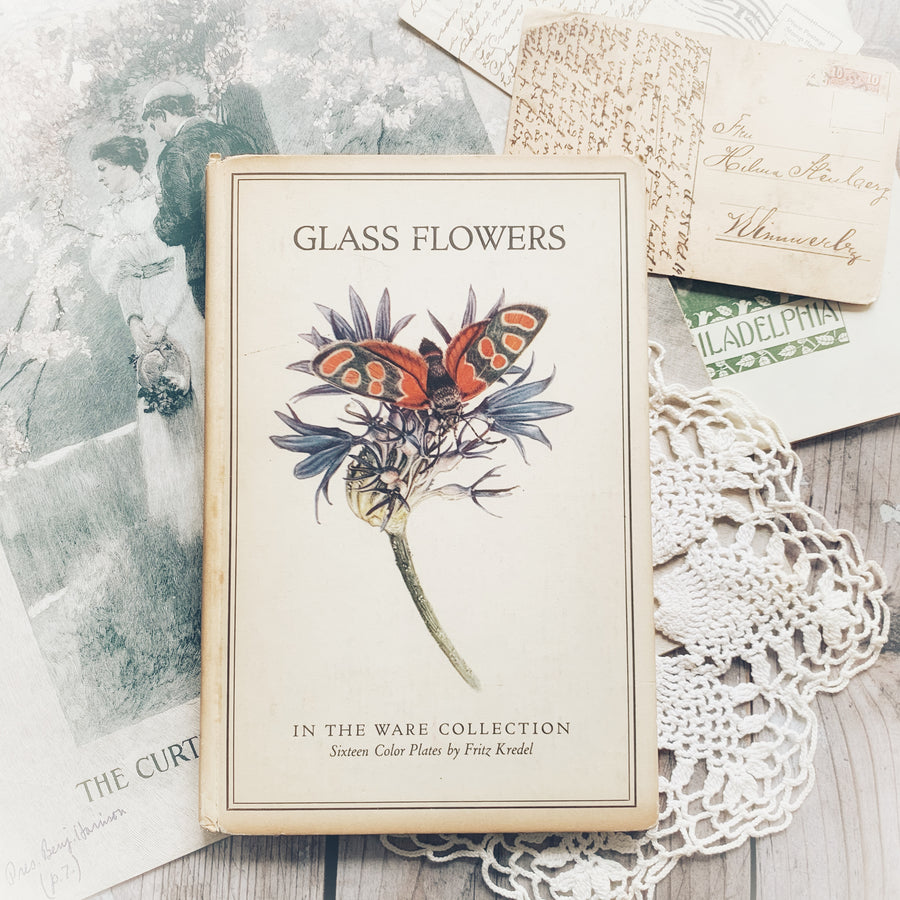 1940 - Glass Flowers; From The Ware Collection In The Botanical Museum Of Harvard University