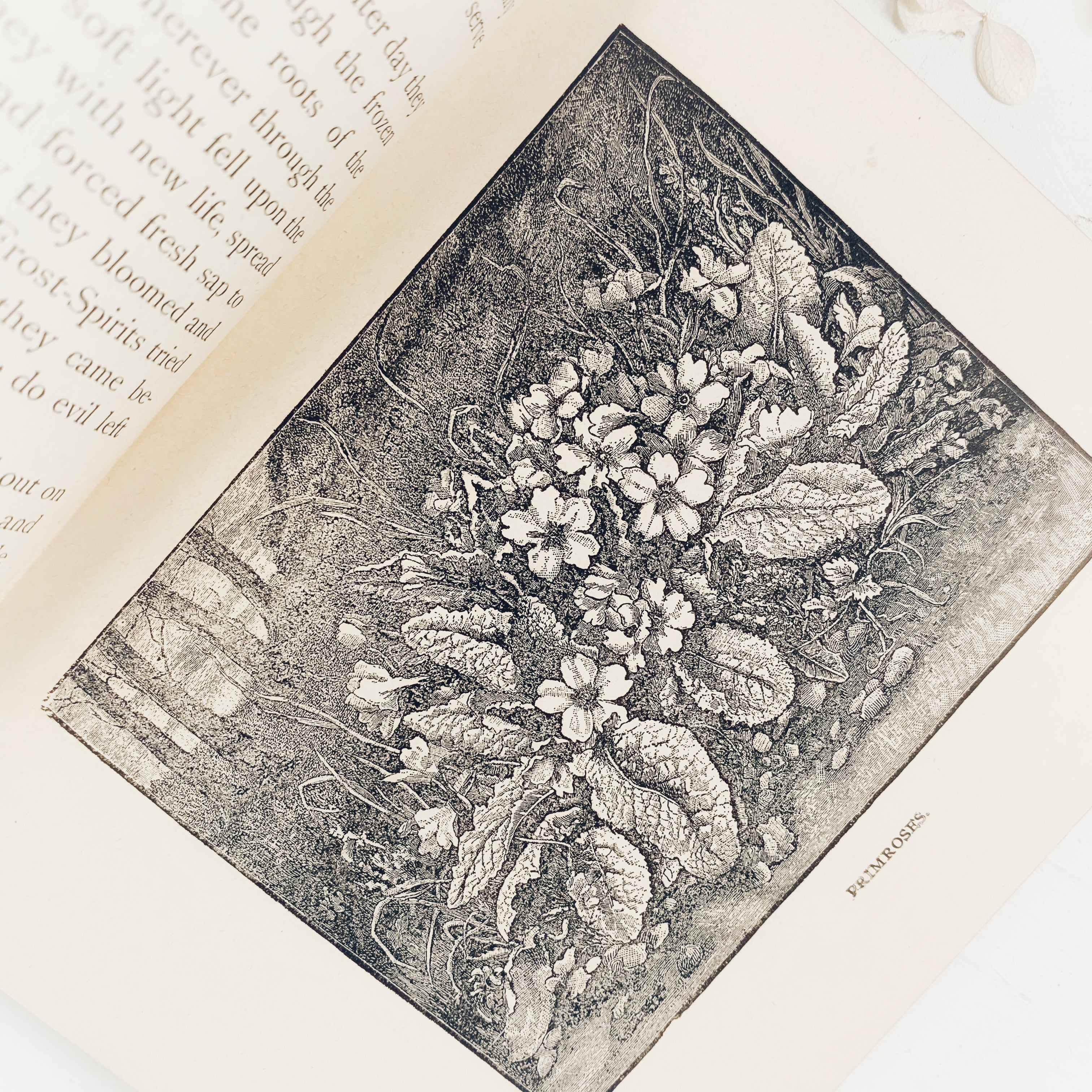 B2F4F418-F54B-4B05-82F7-