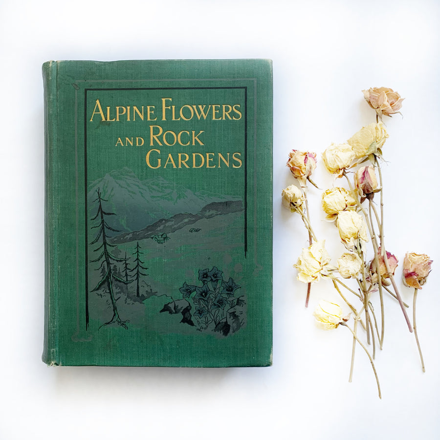 1911 - Alpine Flowers and Rock Gardens