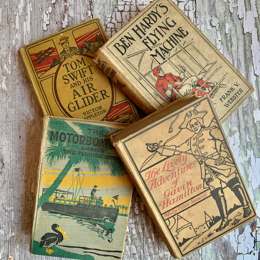 Shabby Distressed Vintage Novel Collection