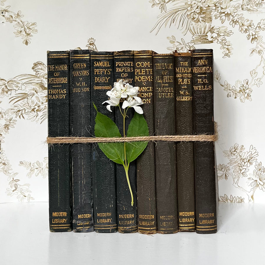 Brown Farmhouse Shelf Decor- The Modern Library of the World’s Best Books