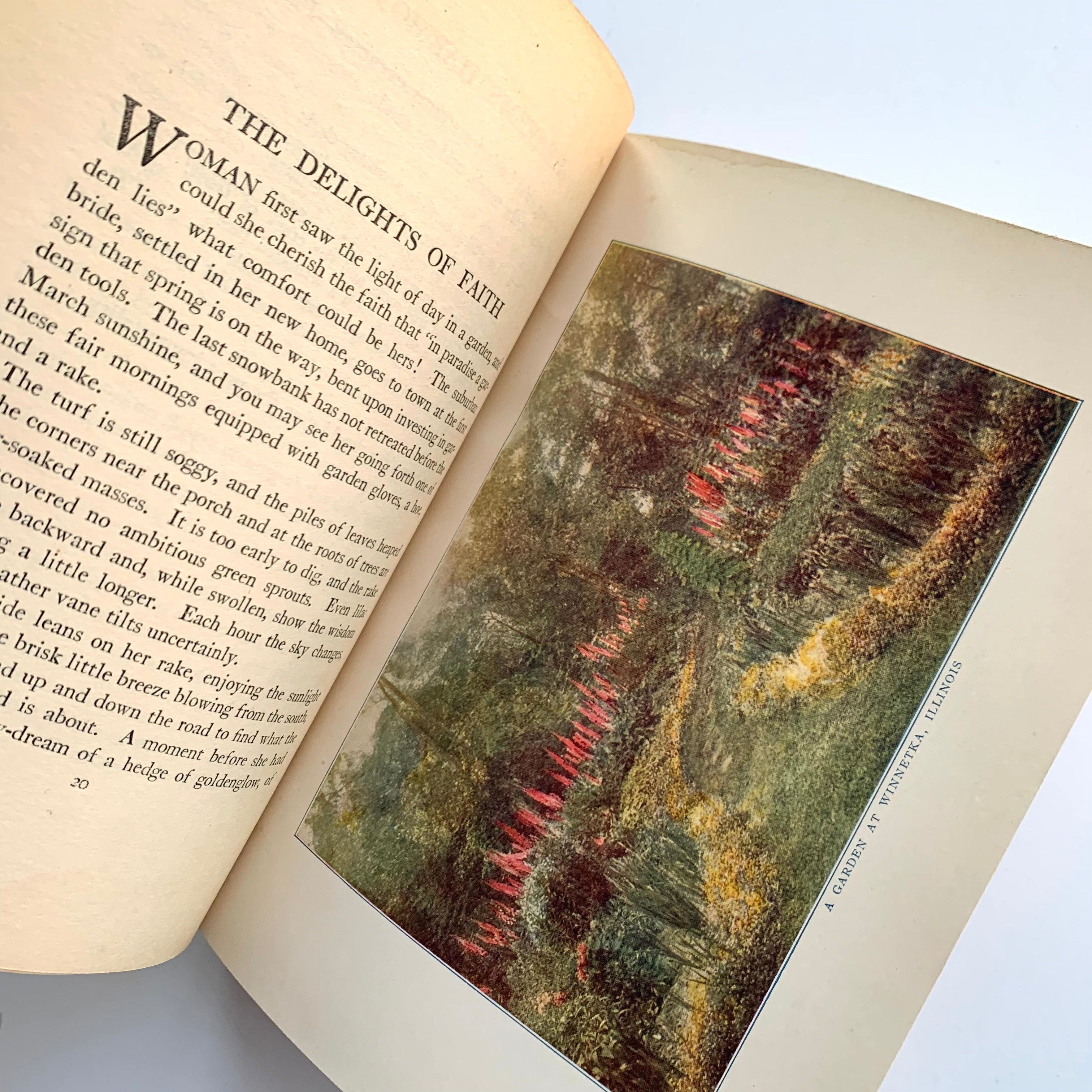 ジョアン アイザック Garden 1911 - The Joy of Gardens, First Edition – Honey Bee Mill
