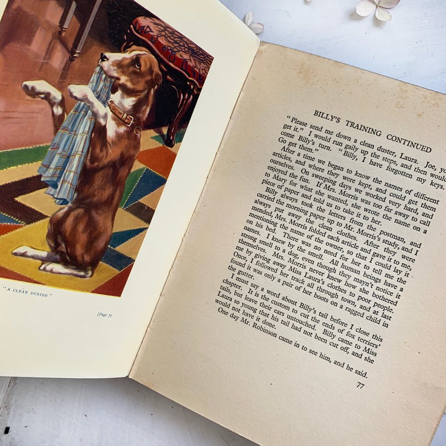 1907 - Beautiful Joe; The Autobiography of a Dog
