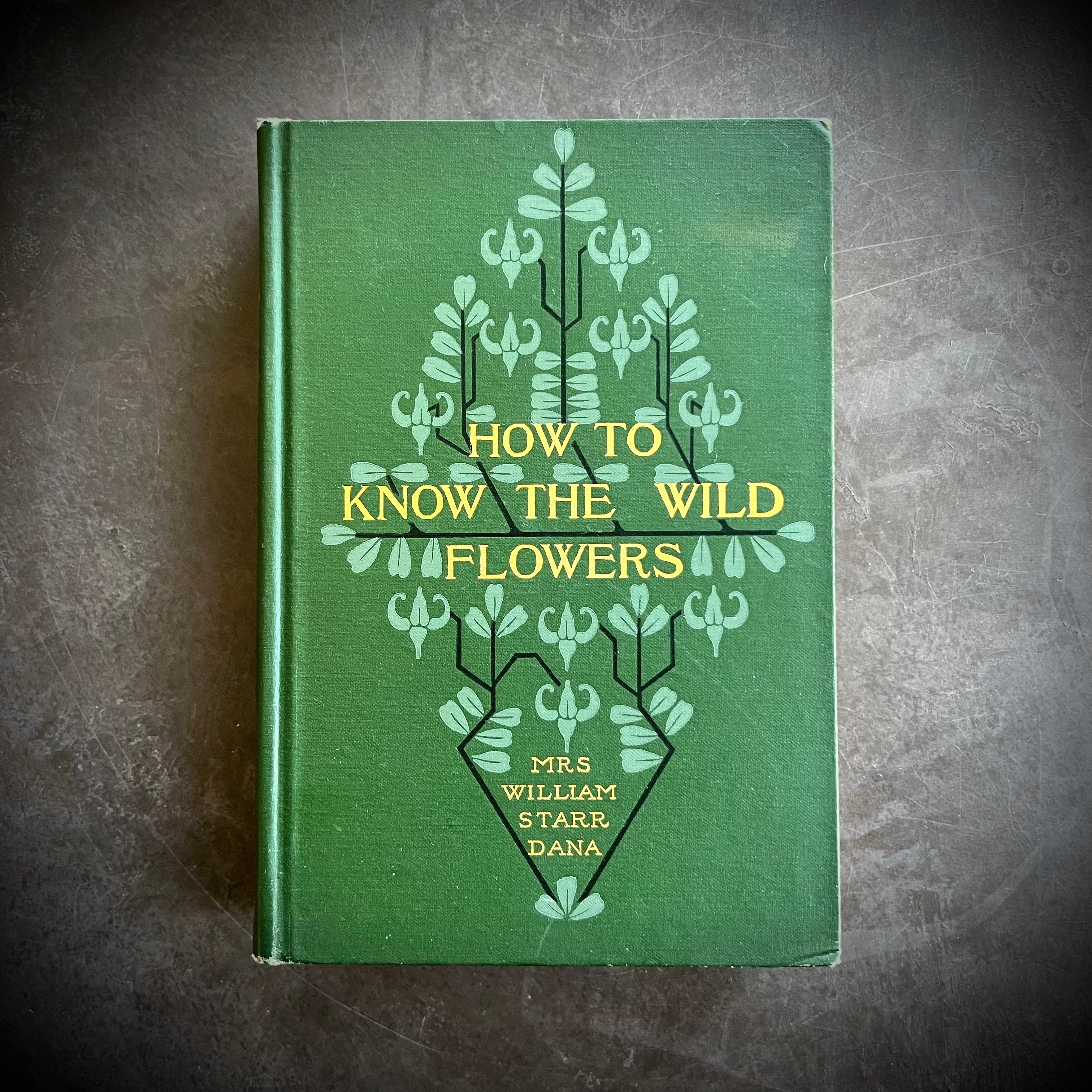 超希少 1876年 アンティーク WILD FLOWERS 手彩色 大型本 1909 - How To Know The Wild Flowers – Honey Bee Mill