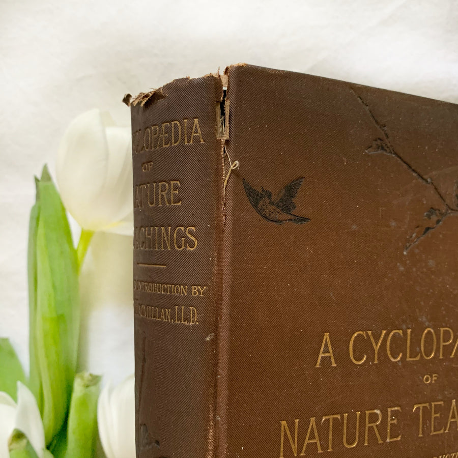 1892 - A Cyclopaedia of Nature Teachings