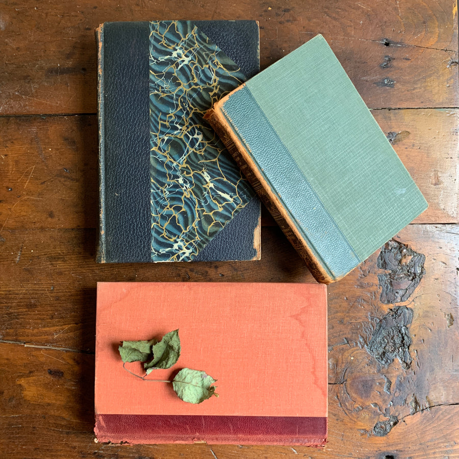 Distressed Old Books With Leather Bindings