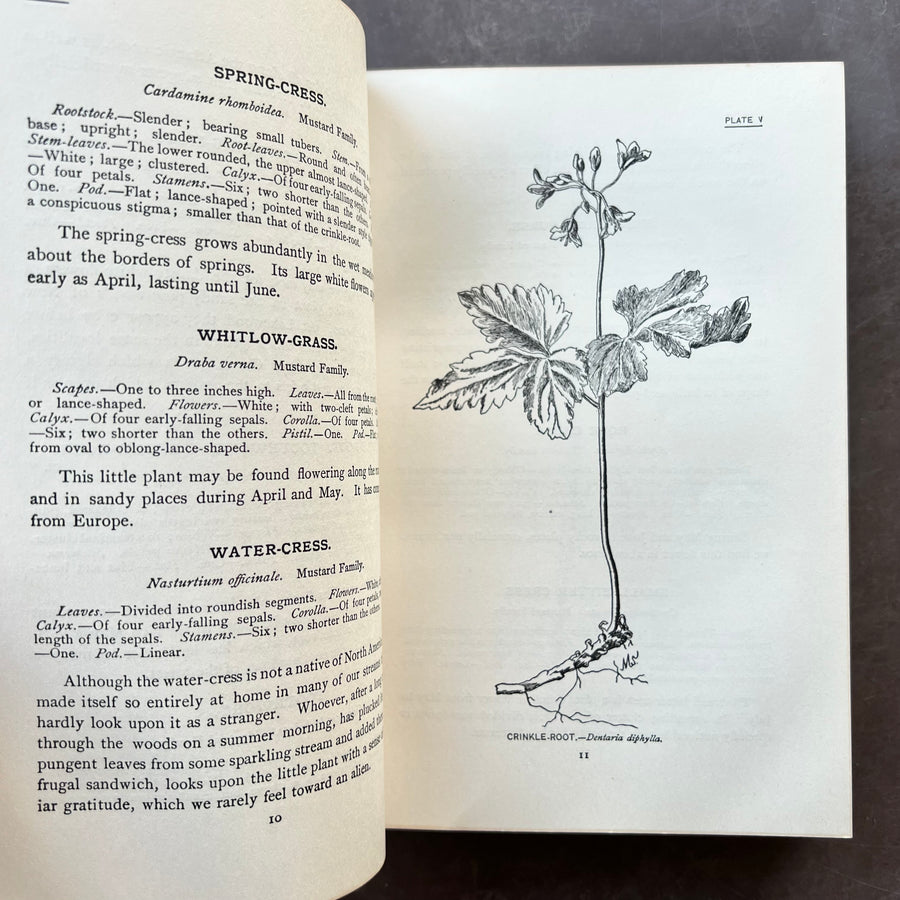 1909 - How To Know The Wild Flowers