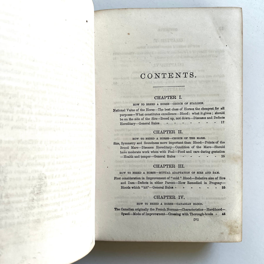 1865 - Hints to Horse-keepers, A complete Manual For Horsemen