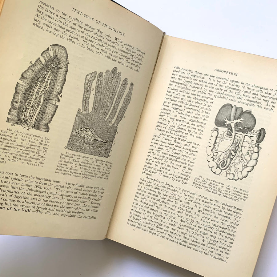 1909 - A Text-Book of Human Physiology, Including a Section on Physical Apparatus