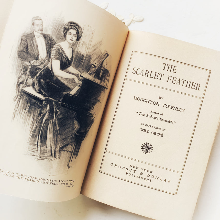 1909, The Scarlet Feather,  By Houghton Townley