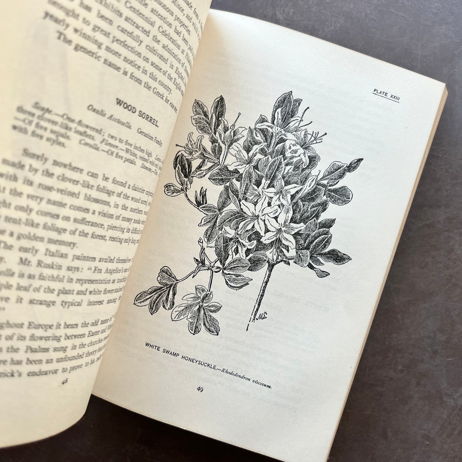1909 - How To Know The Wild Flowers