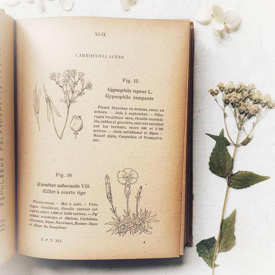 1924 - Les Fleurs Des Montagnes, First Edition
