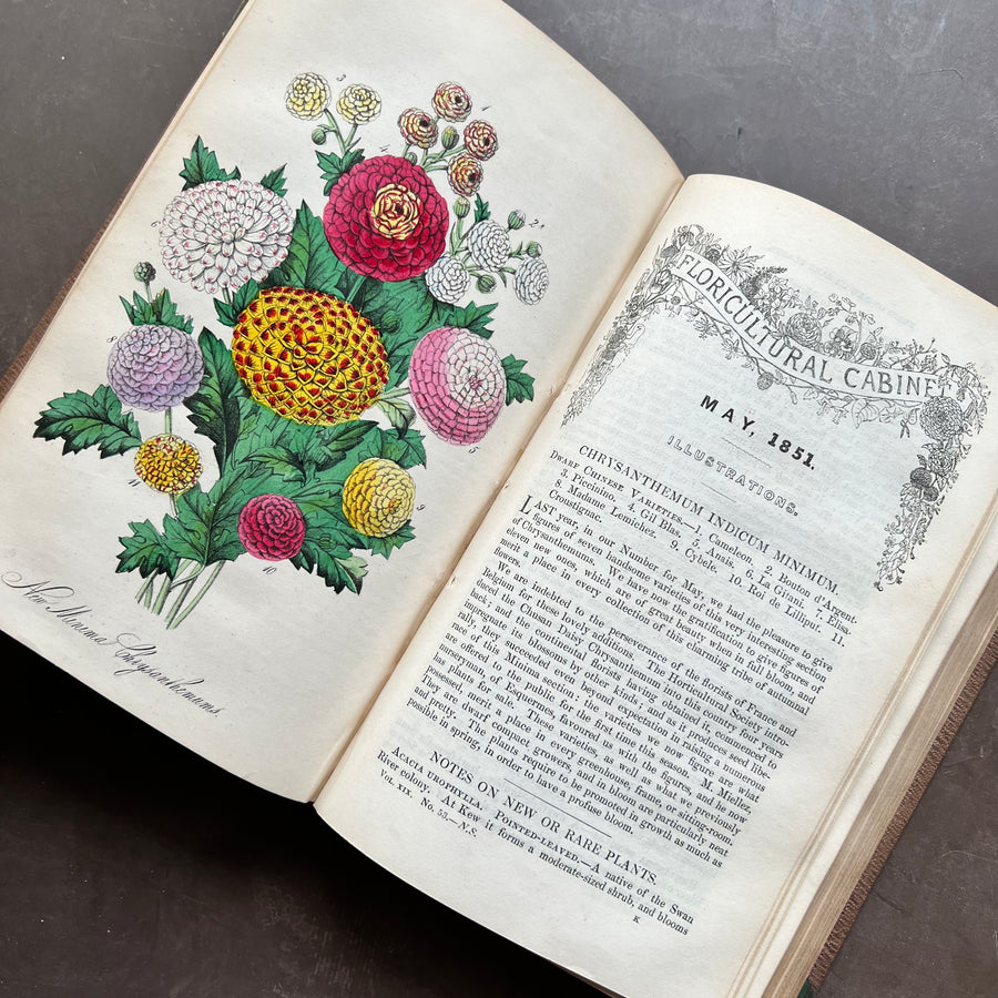 1850-1851 - The Floricultural Cabinet; Florist’s Magazine (Jan. 1850-Dec.1851)