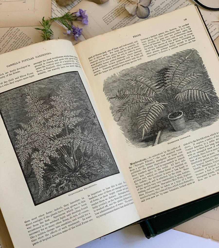 Cassell’s Popular Gardening, Two Volumes