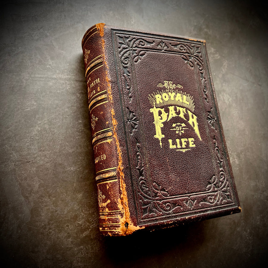 1881 - The Royal Path of Life: Or, Aims and Aids to Success and Happiness, First Edition