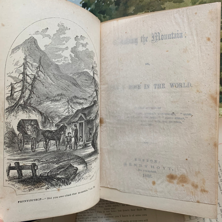 1862 - Climbing The Mountain Or How I Rose In The World