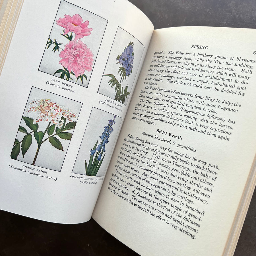 1932 - The Book of Garden Flowers