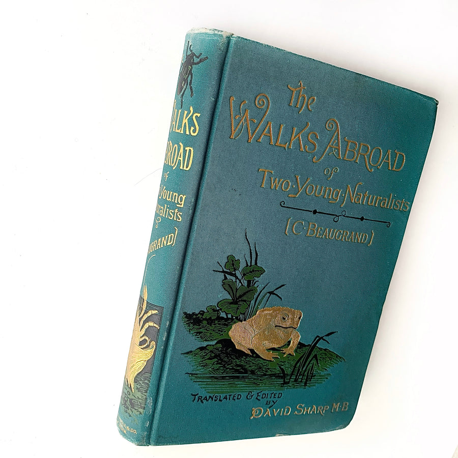 c.1888 - The Walks Abroad of Two Young Naturalists
