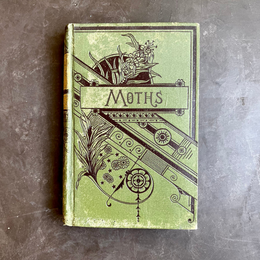 1889 - Moths, A Novel