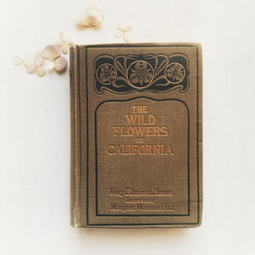 1921 - The Wild Flowers of California; Their Names, Haunts and Habits