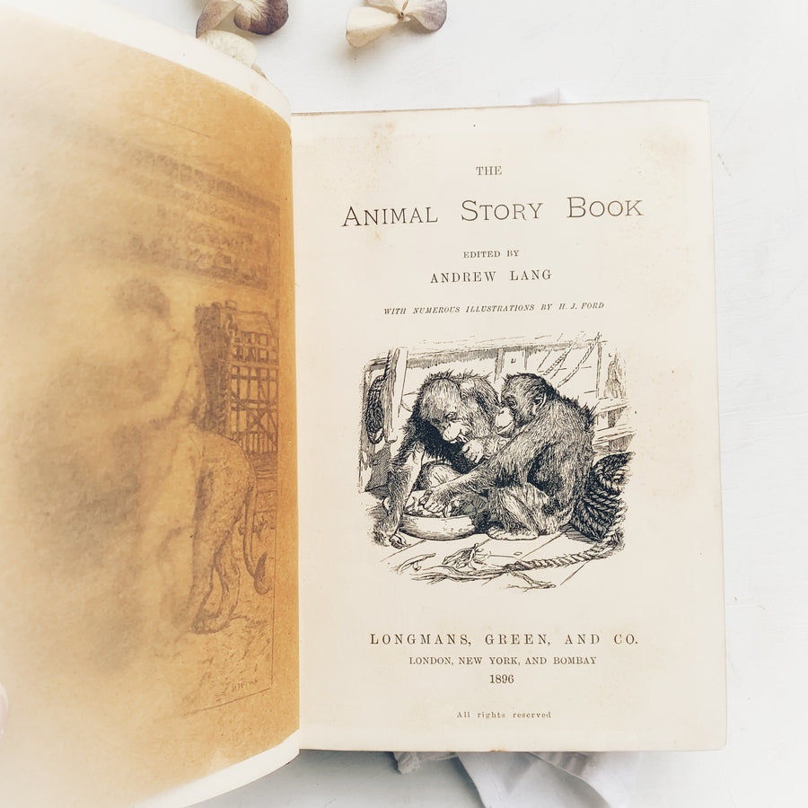 1896 - The Animal Story, First Edition